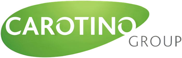 Carotino Group